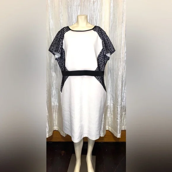 Ruiz & Ali Off White Dress With Black Lace Accents Size Woman’s 20 - Picture 1 of 4